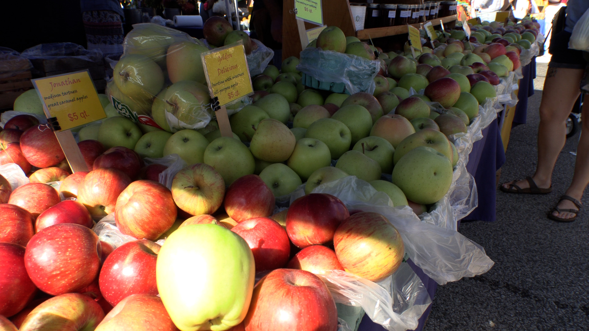 Cali tries dozens of apples at the Bloomington Farmer’s Market