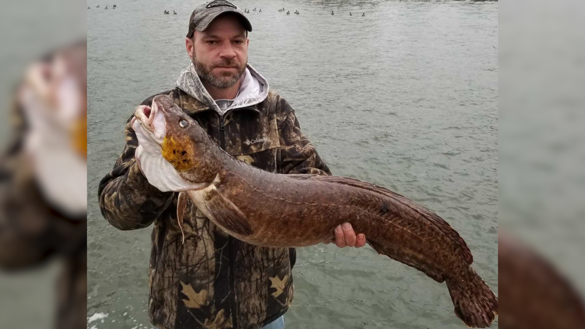 Angler catches state record smallmouth bass on Monroe Lake – IU Student  Television