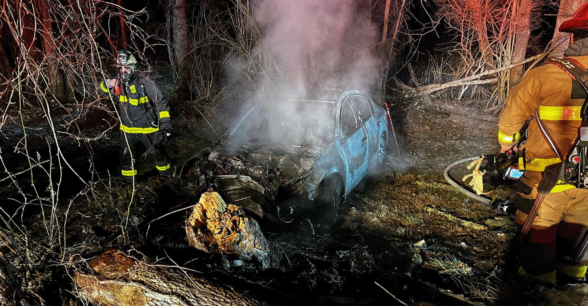 Car catches fire after hitting a tree