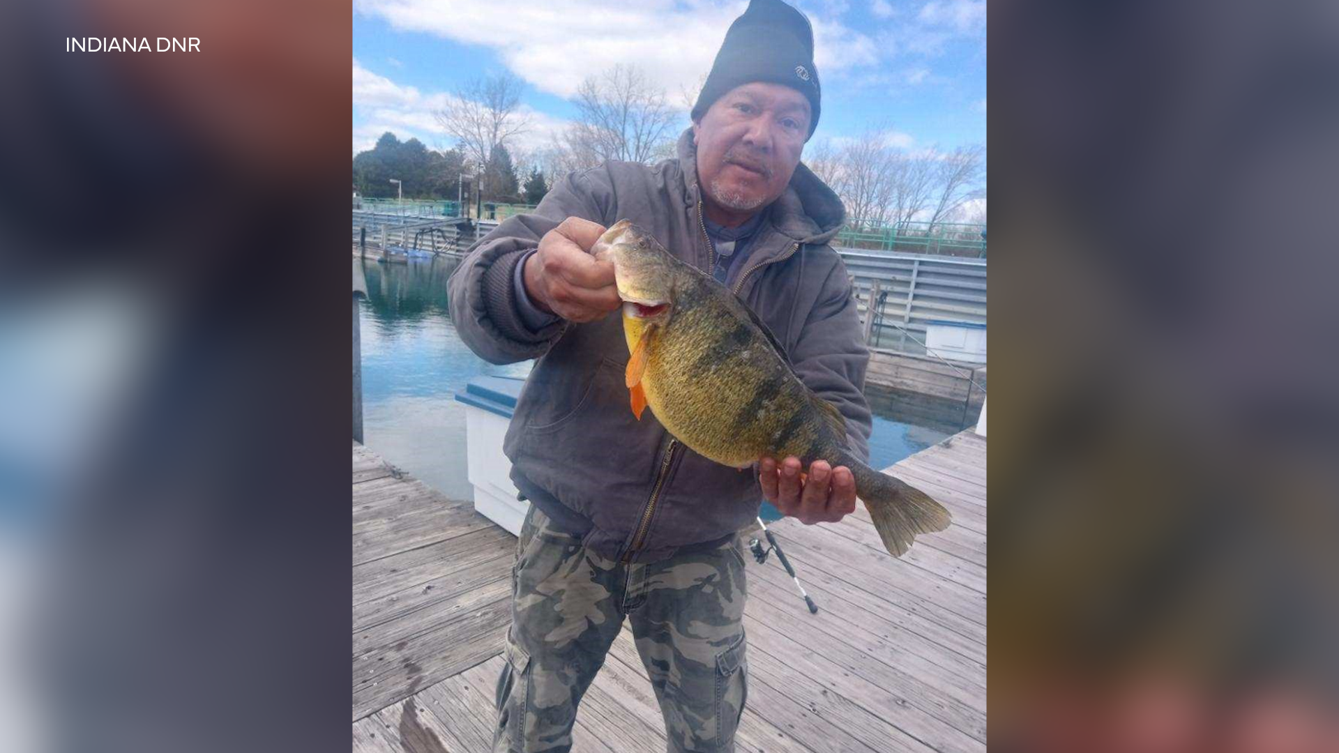 Fisherman catches state record yellow perch on Lake Michigan