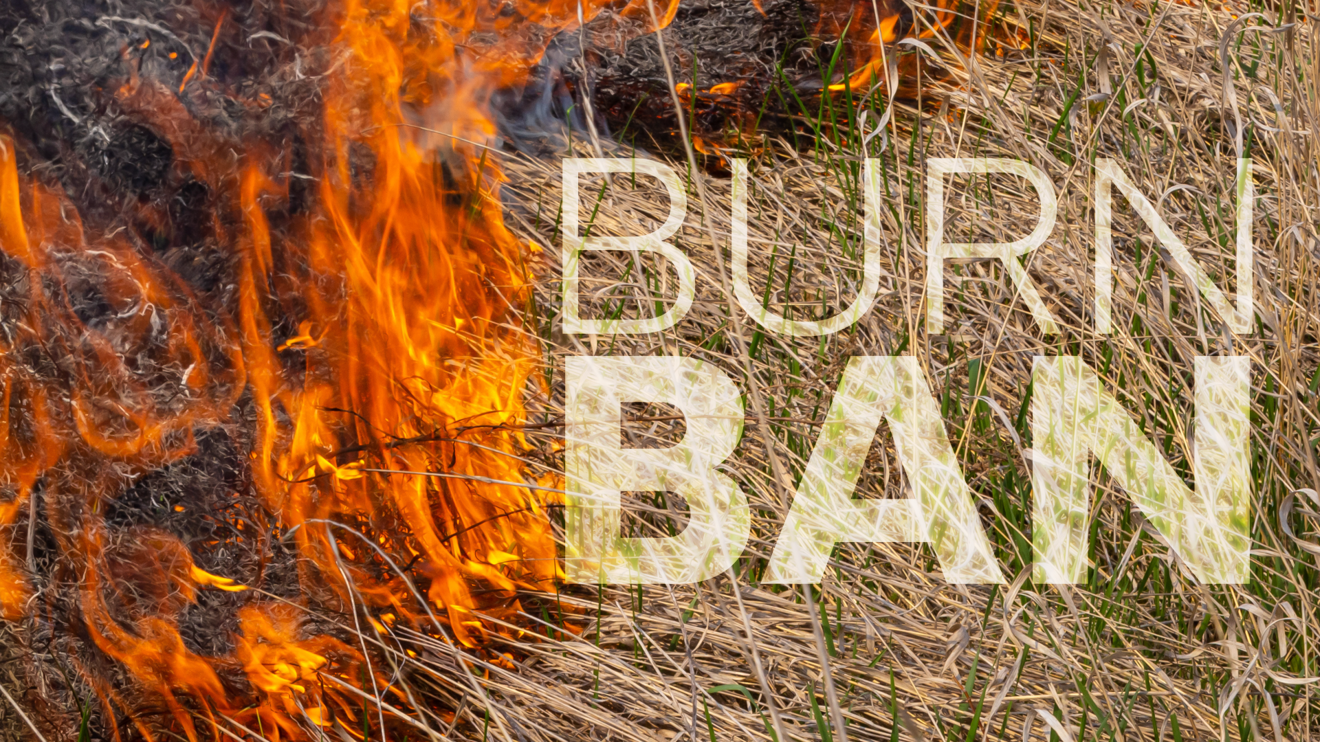 Monroe County under burn ban as drought conditions worsen